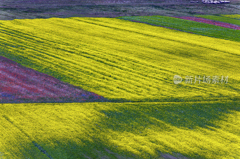 Piano Grande di Castelluccio(意大利)，绿色山丘上的村庄